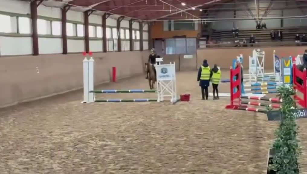Hoppning hästar till salu: Framtida stjärna söker ny ryttare - Video 3