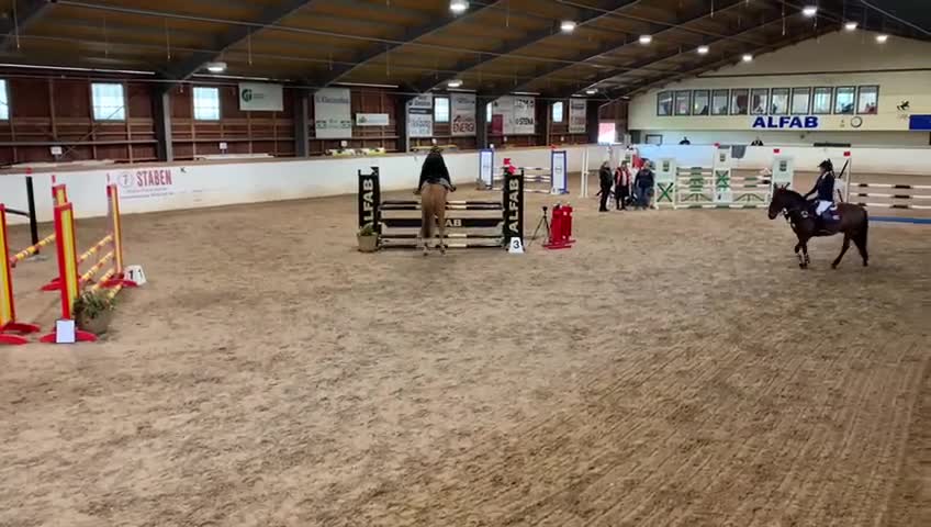Allround hästar till salu: Välutbildad läromästare med SM-meriter - Video 2
