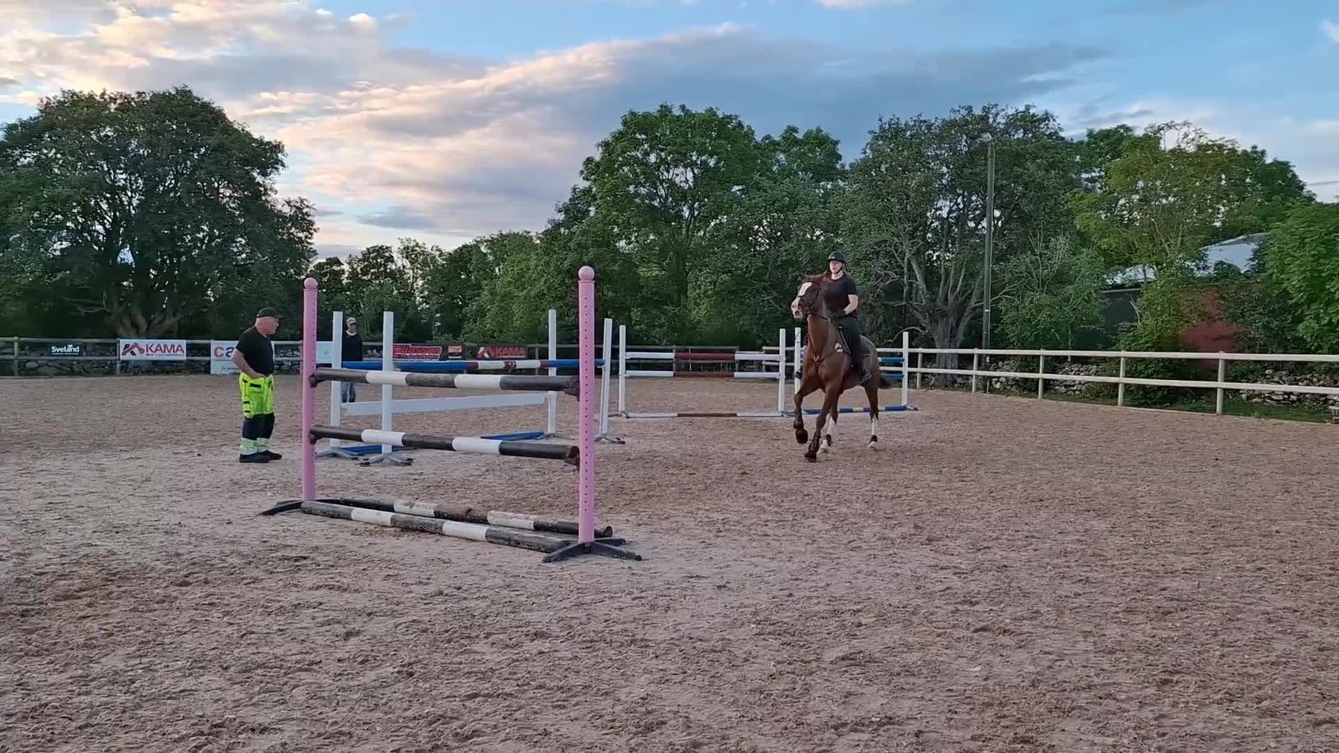 Hoppning hästar till salu: Sto som letar hinder! - Video 5