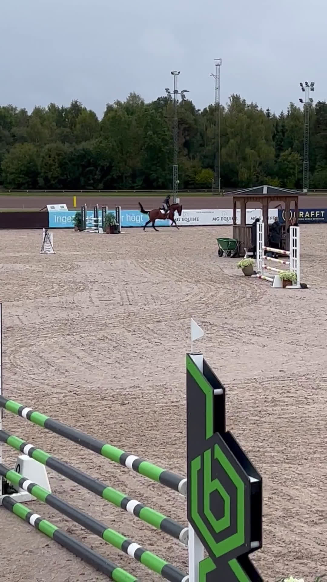 Hoppning hästar till salu: Mkt fin 5-åring till salu i Tungelsta - Video 1