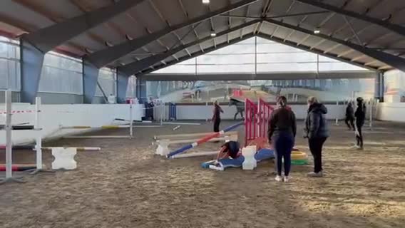 Hoppning hästar till salu: Modig och trevlig fyraåring - Video 3