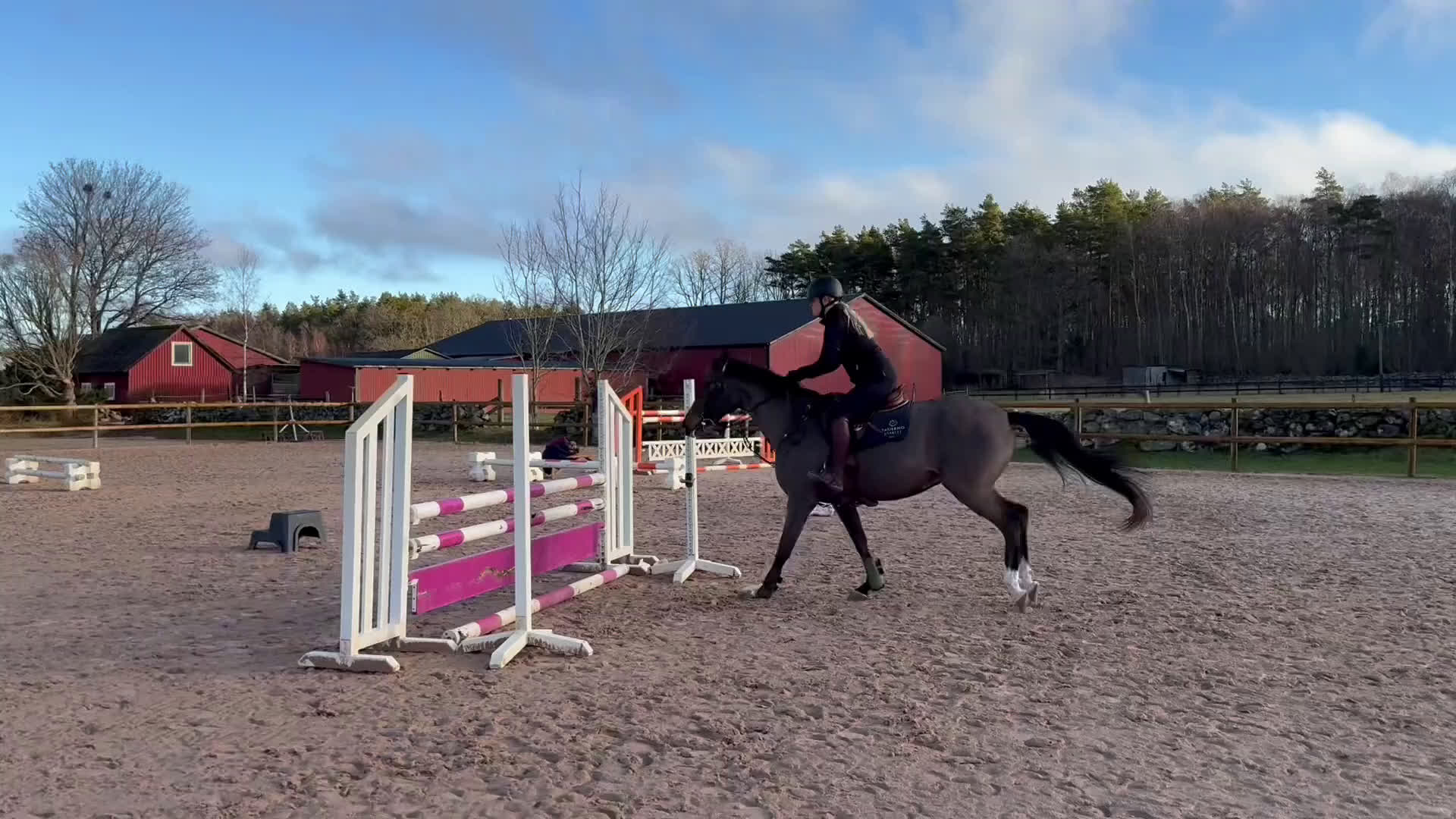 Hoppning hästar till salu: 🌟Talangfullt SWB-sto🌟 i Vinslöv - Video 1