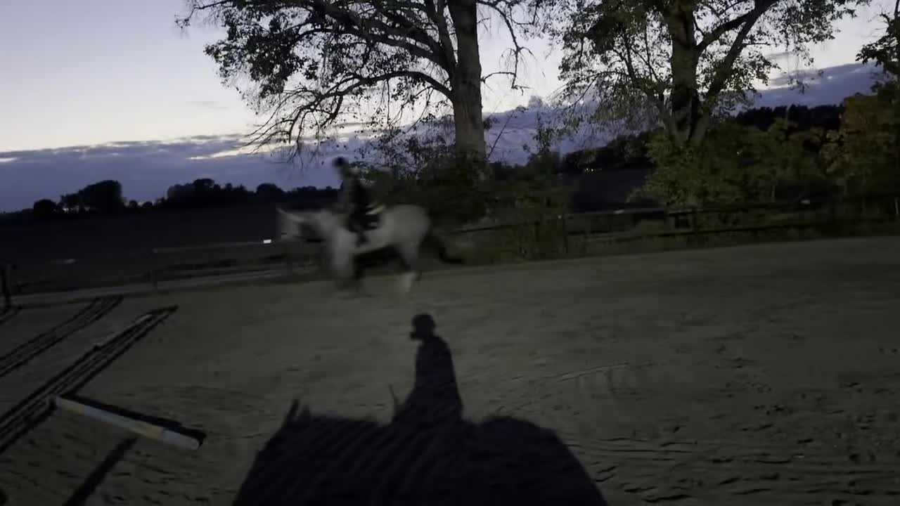 Allround hästar till salu: Vackert sto 6år! Clarimo - Heartbeat! - Video 5
