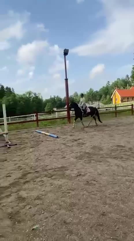 Allround hästar till salu: En bästa vän med fart i  - Video 4
