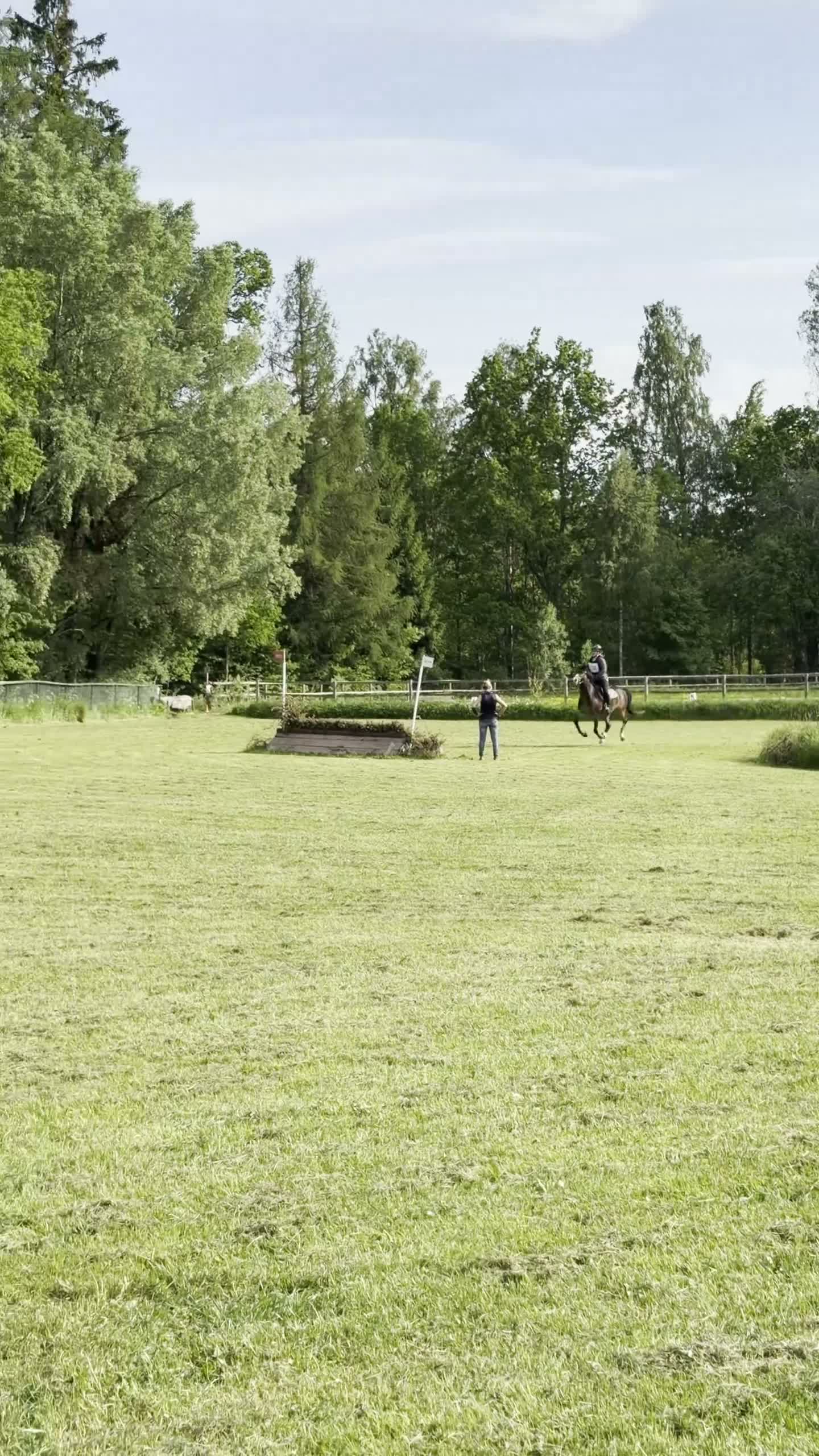 Allround hästar till salu: Världens bästa läromästare ❤️ - Video 3