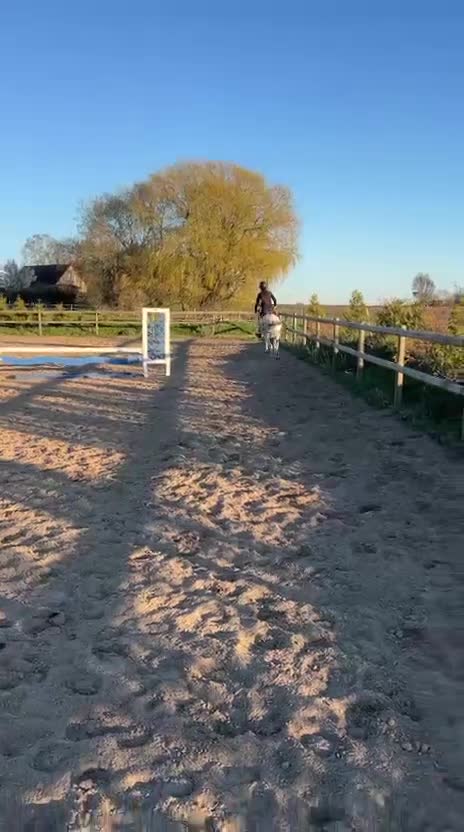 Hoppning hästar till salu: Tuff ryttare sökes till enC-ponny i Löddeköpinge - Video 1