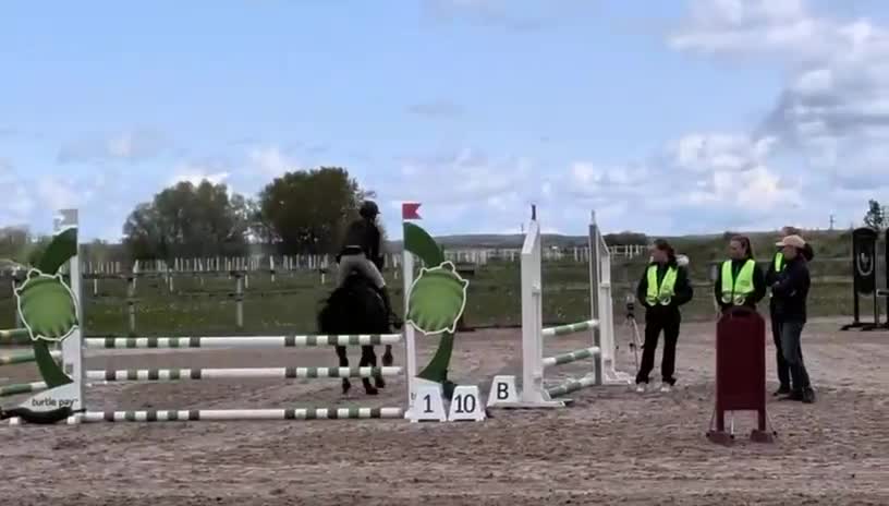 Allround hästar till salu: Charmig C ponny valack  - Video 2