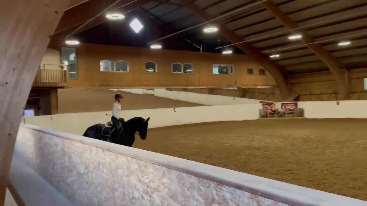 Hoppning hästar till salu: Välutbildad D-ponny med hjärta och kapacitet - Video 4
