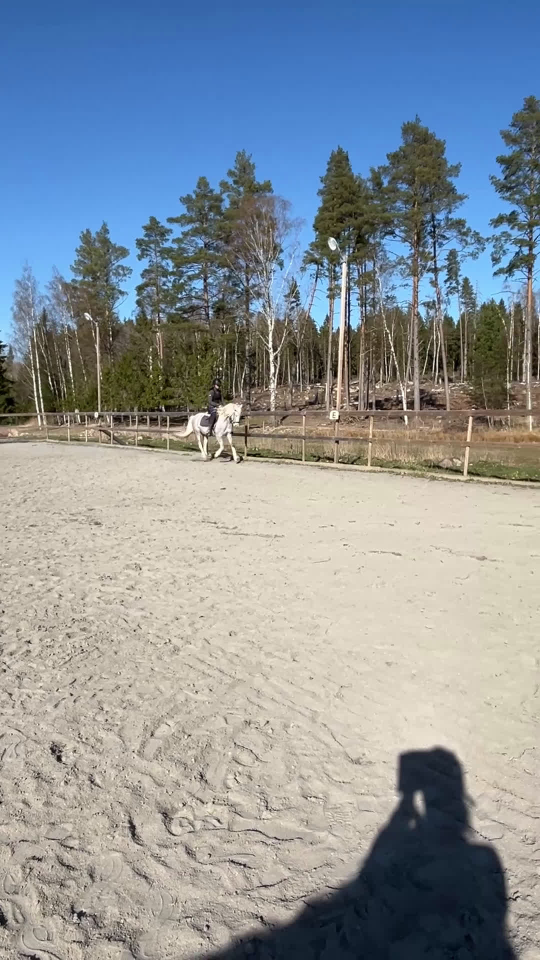 Allround hästar till salu: Vackert Welsh ponnysto  i Lyrestad - Video 3