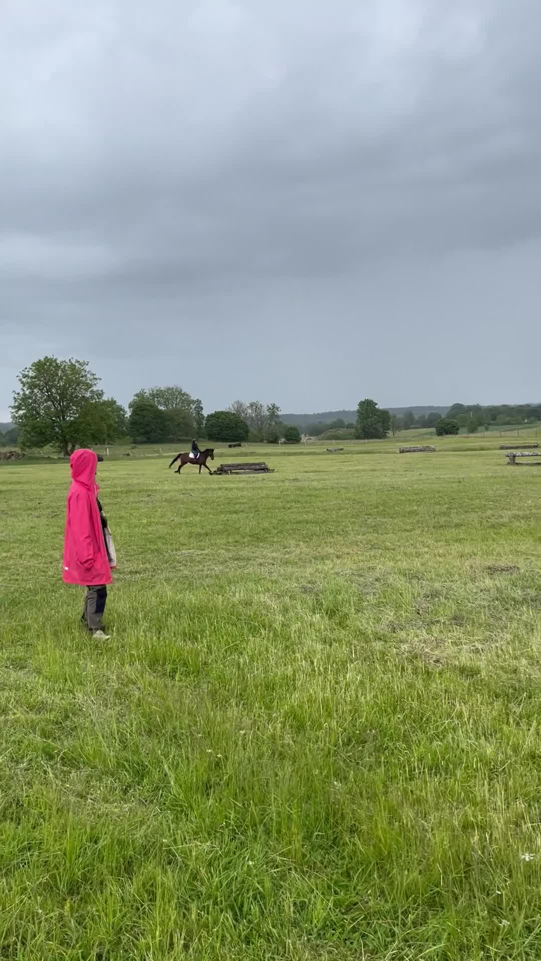 Allround hästar till salu: Fantastisk läromästare  i Skövde - Video 3