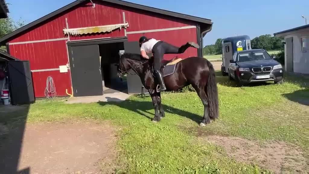 Allround hästar till salu: Kattelbo Hulda  i Kalmar - Video 1