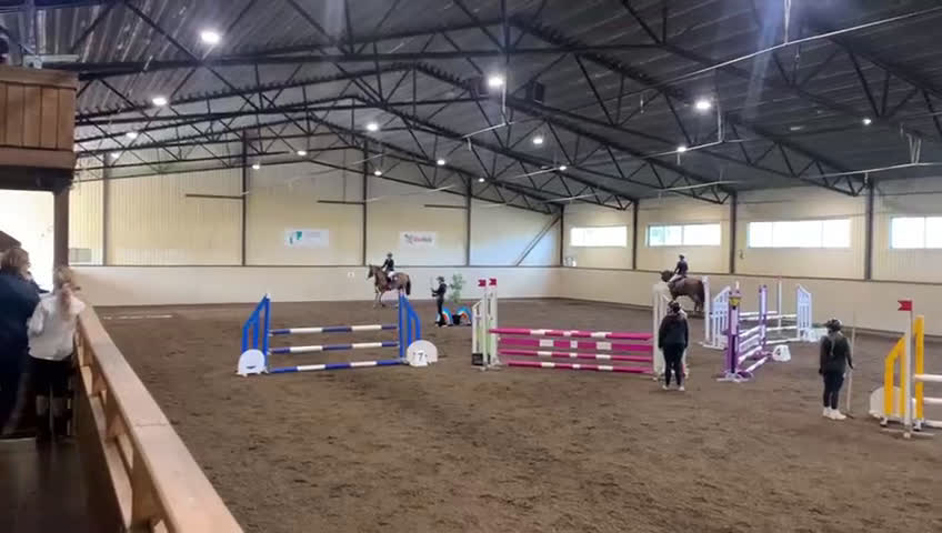 Allround hästar till salu: Välstammat sto med utstrålning  i Rimbo - Video 1