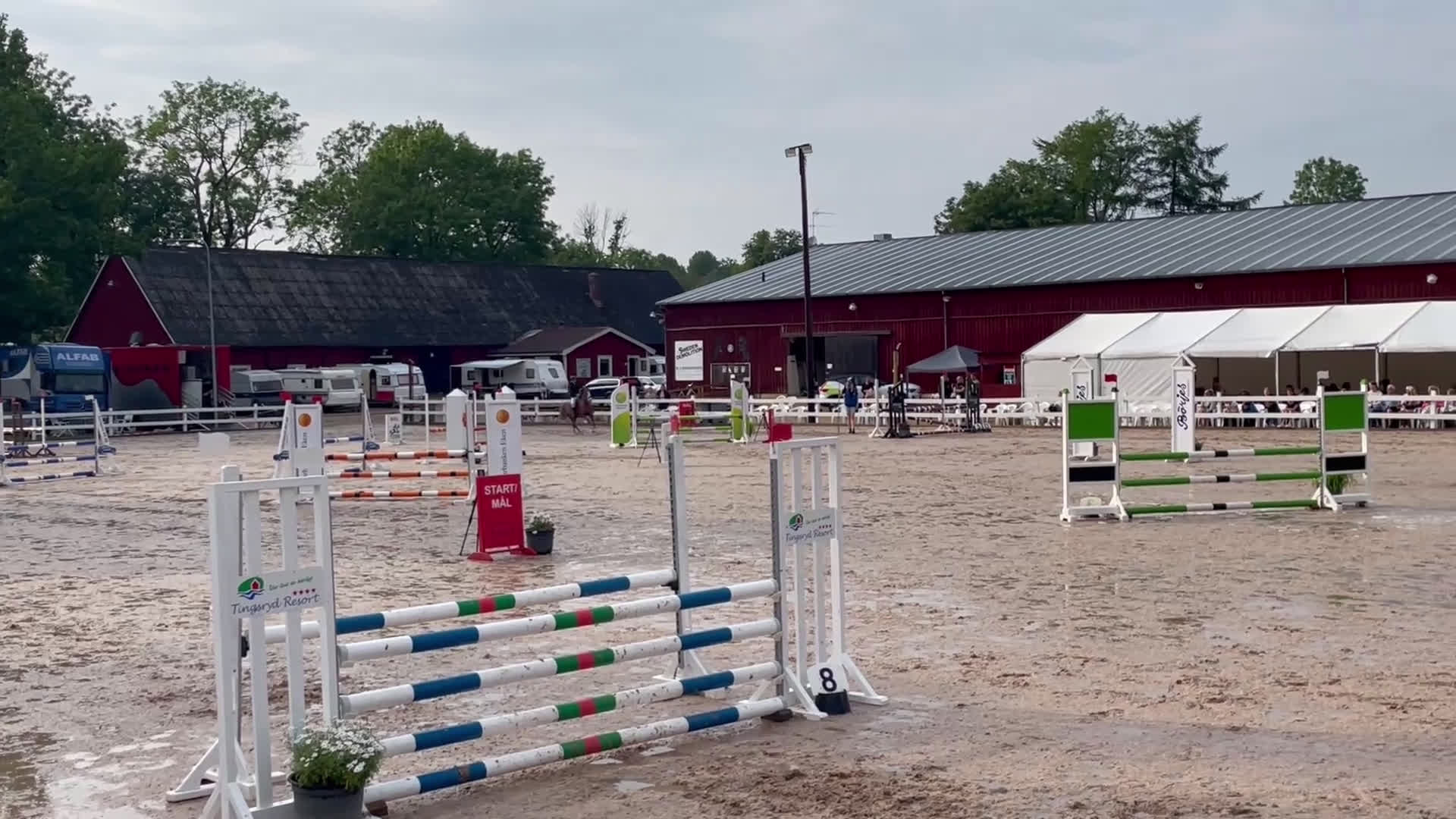 Hoppning hästar till salu: Talangfull hopponny, WE, även körd  i Kalvsvik - Video 1