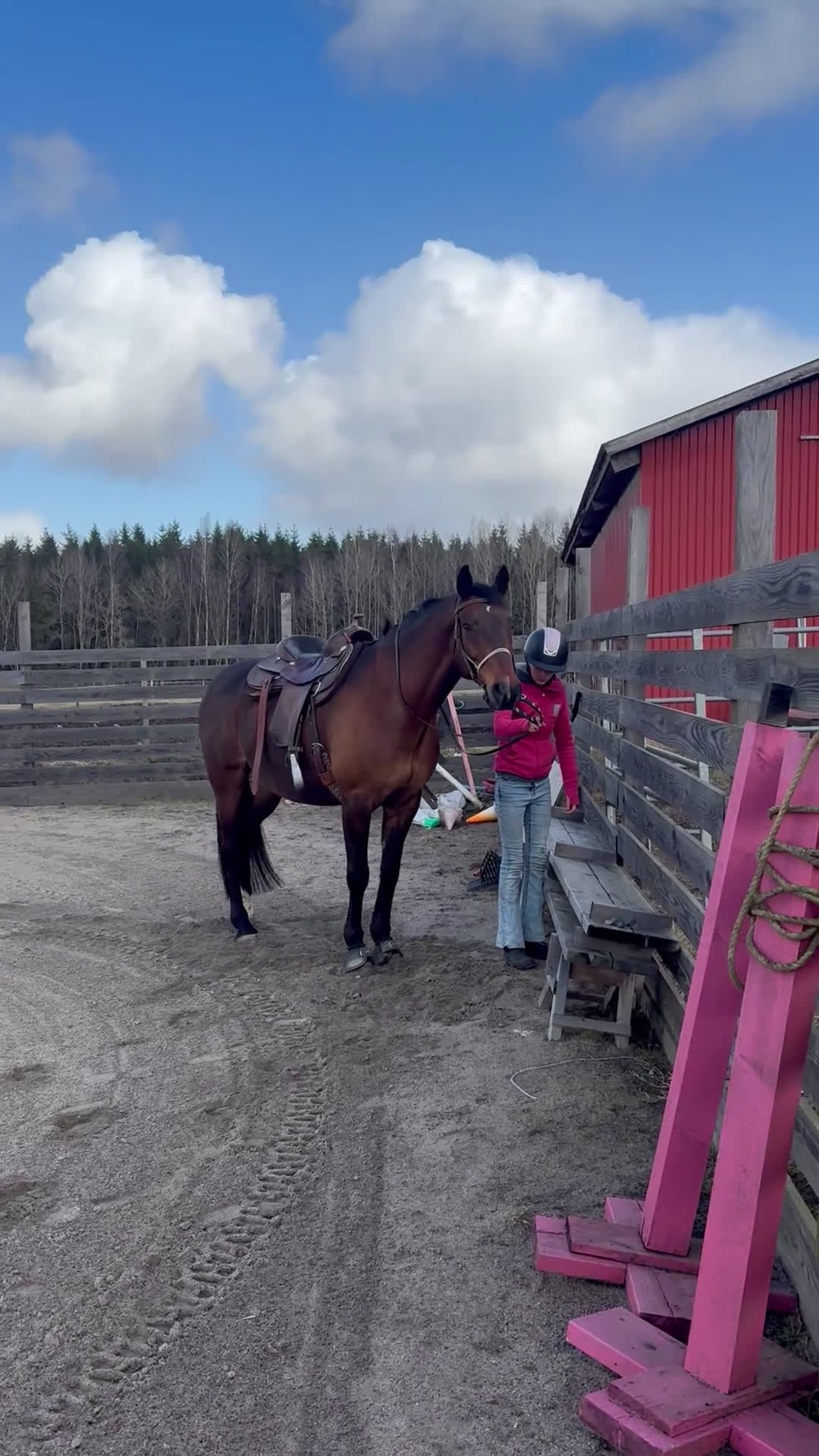 Allround hästar till salu: Schysst valack till allround / hobby - Video 2