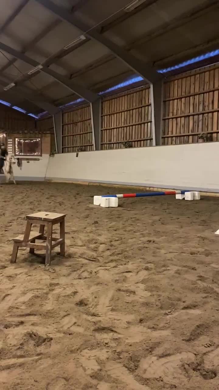 Allround hästar till salu: Sagoponnyn man utvecklas på i Björkvik - Video 1