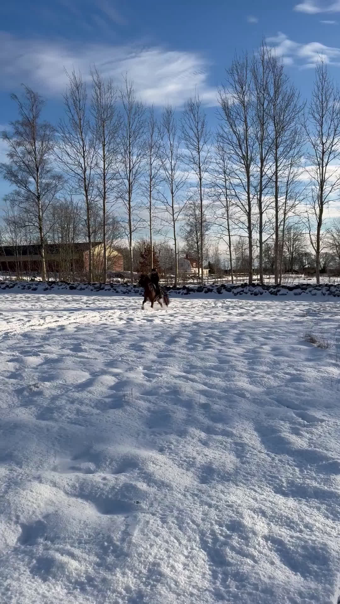 Allround hästar till salu: Maxad B-ponny för hobbyridning i Vimmerby - Video 2