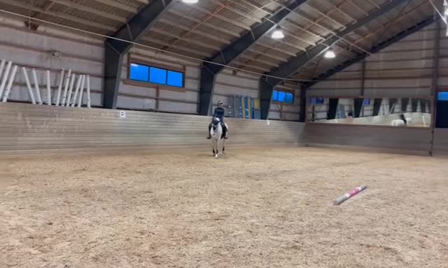 Allround hästar till salu: Supersnäll ponny - Video 1