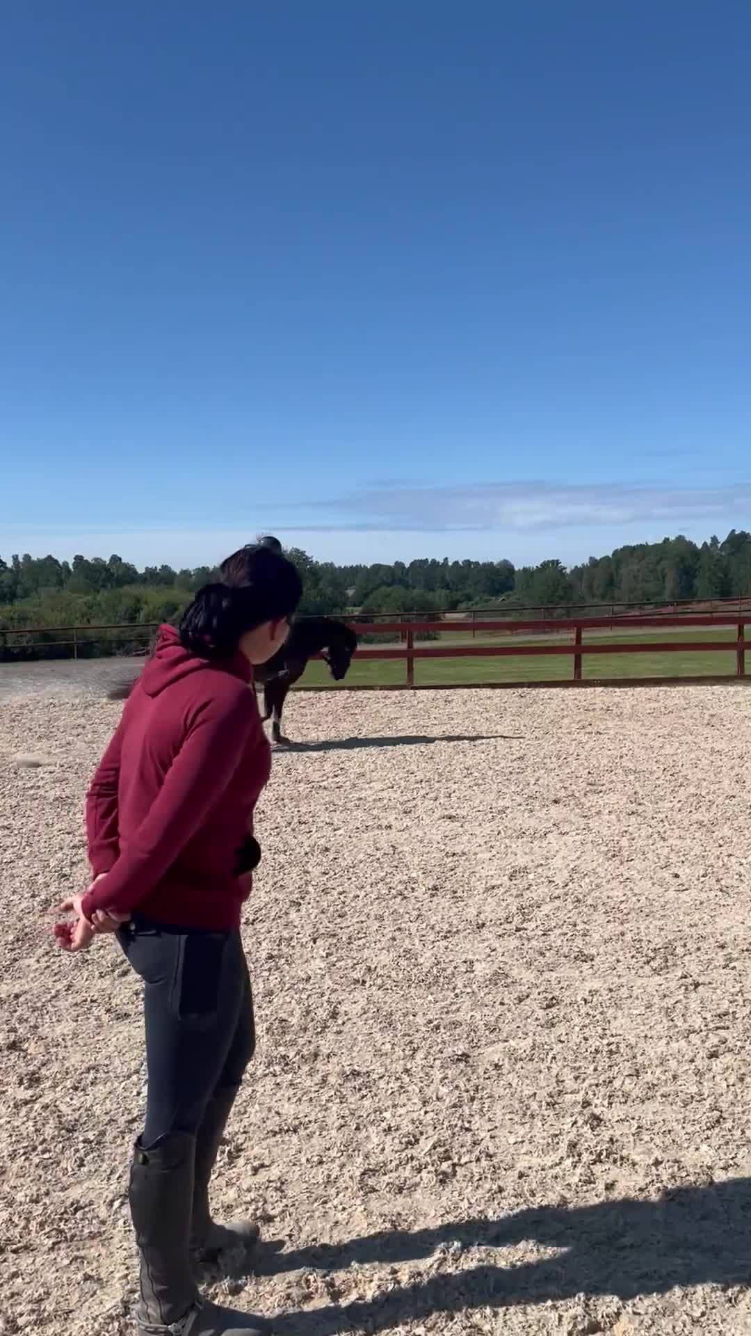  medryttarhäst finnes: Välrutinerad medryttare - Video 1