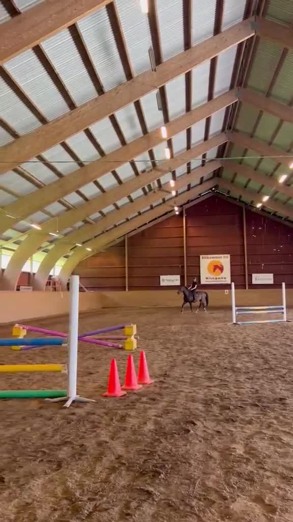 Hoppning hästar sökes: SÖKER HÄST!! - Video 1