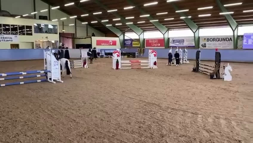 Hoppning hästar till salu: Ärlig, snabb och försiktig C-ponny i Strömstad - Video 3