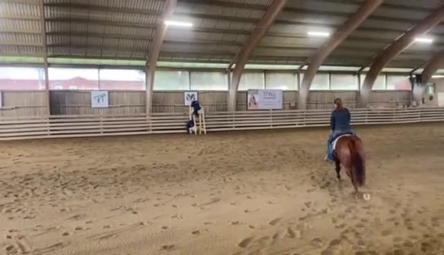 Western hästar till salu: Guldklimt till rätt person! i Bettna - Video 3