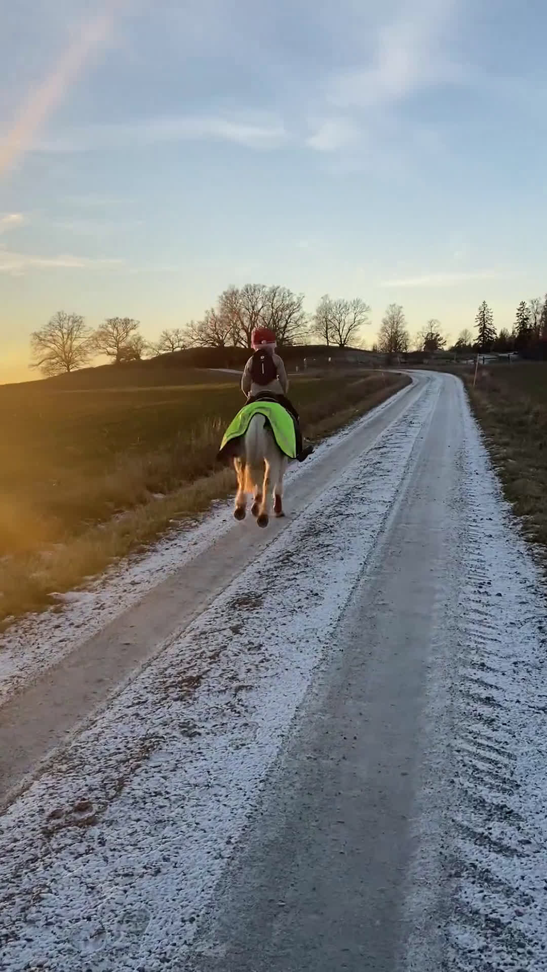 Allround hästar till salu: Barnponny  i Gnesta - Video 2