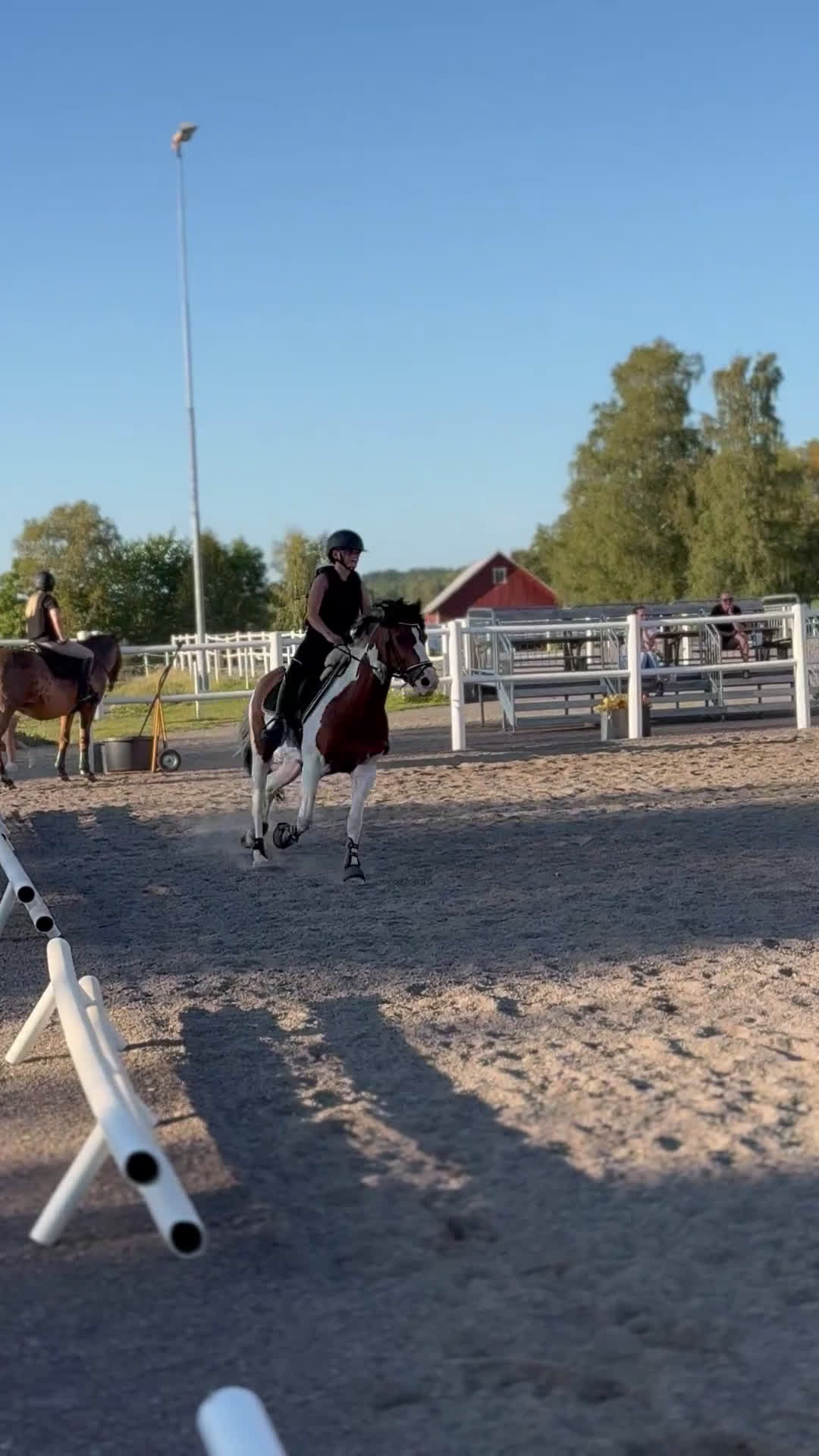 Hoppning hästar till salu: Oslipad diamant för de högre klasserna  i Gränna - Video 3