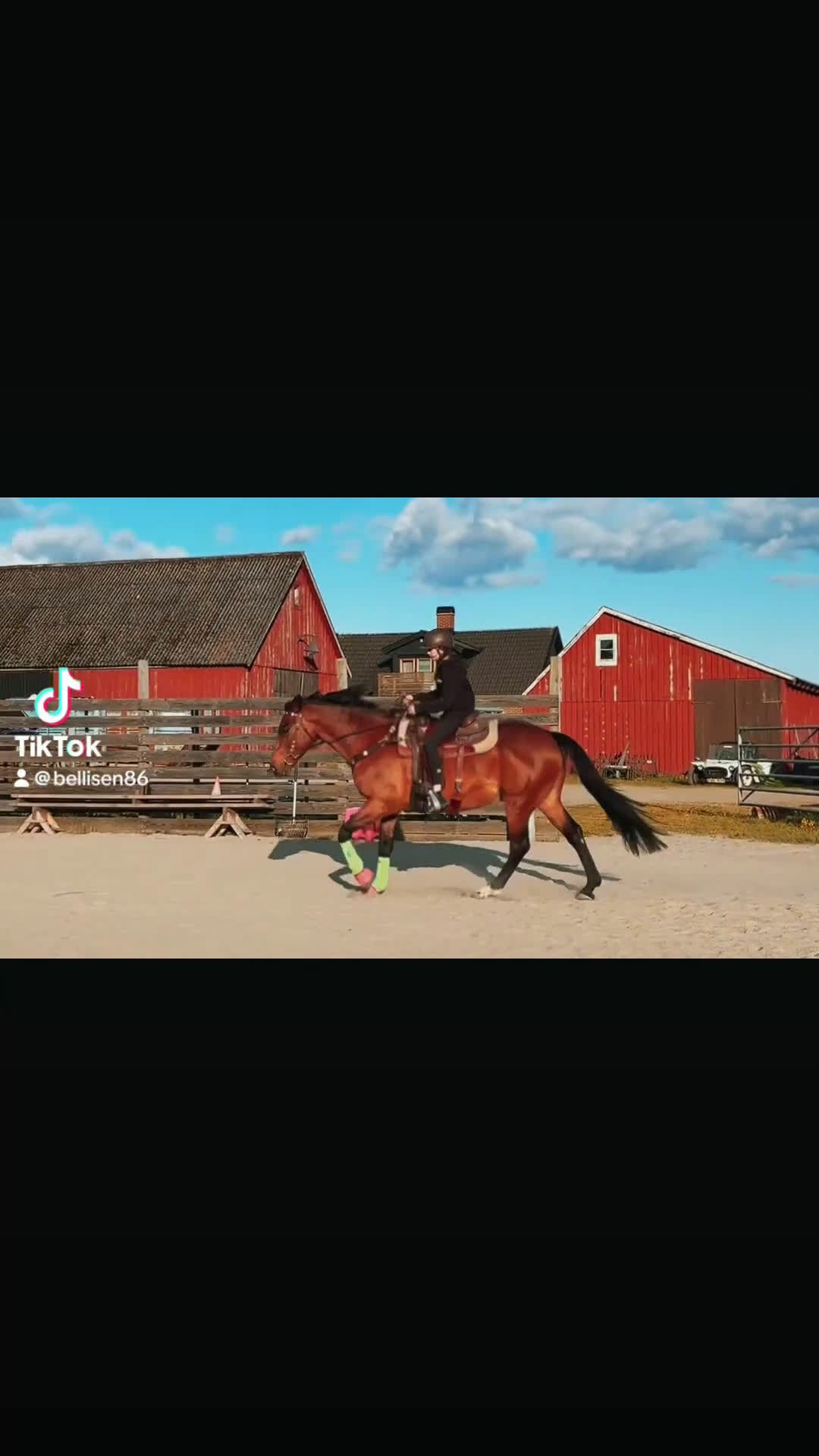 Allround hästar till salu: Fantastisk allround/övergångshäst i Sösdala - Video 1