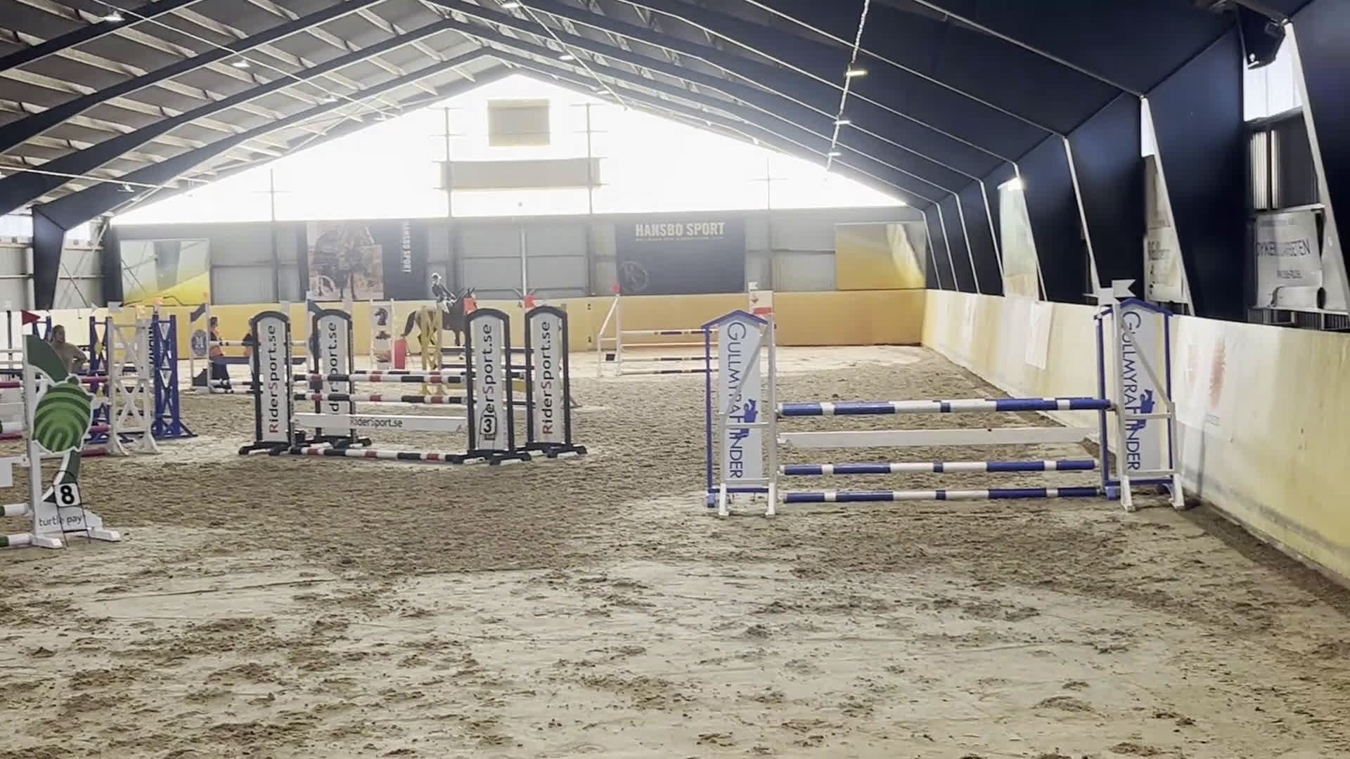 Hoppning hästar till salu: Fantastisk valck för hoppning  - Video 1