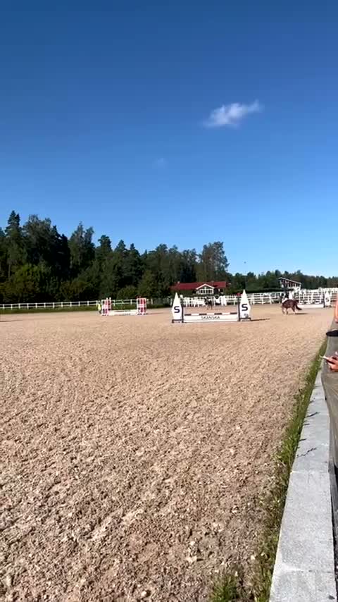 Allround hästar till salu: Hoppglad ponny söker sin egna ryttare - Video 2
