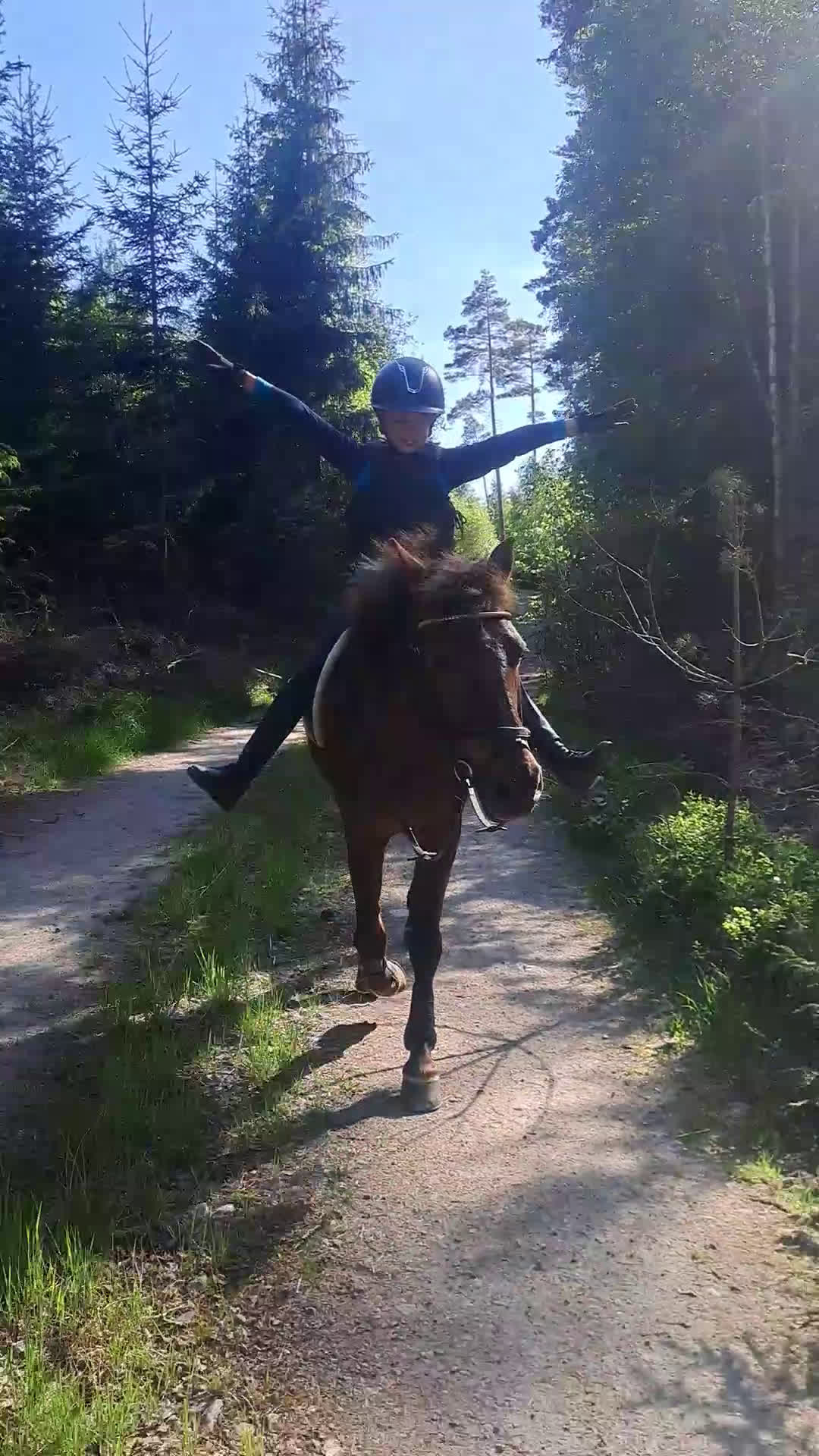 Allround hästar till salu: Svensk ridponny 19år - Video 3