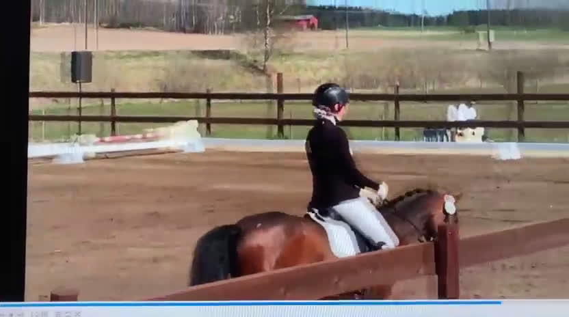 Allround hästar till salu: Fantastisk läromästare  i Uppsala - Video 1