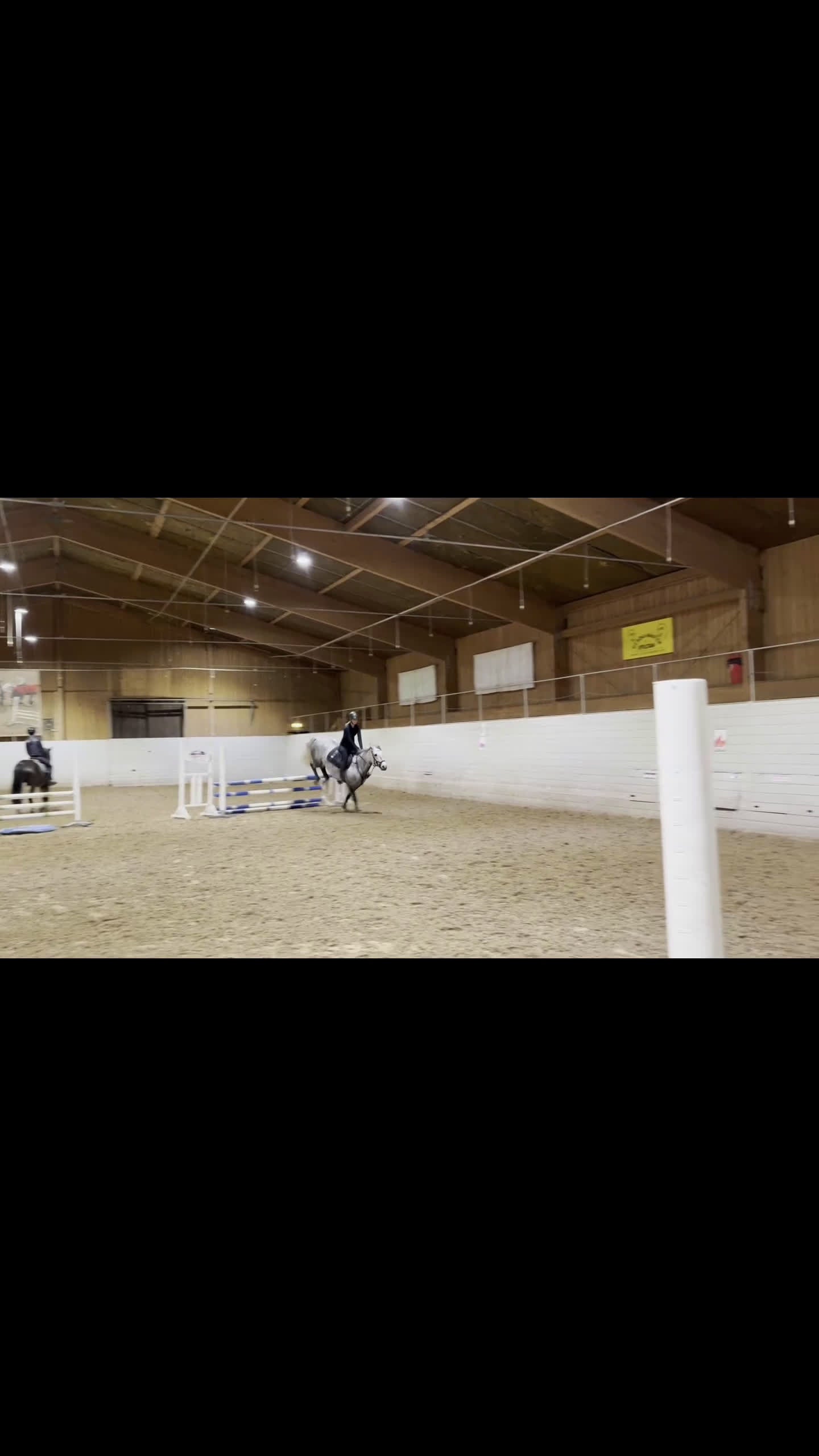 Hoppning hästar till salu: Dröm ponny för framtiden  i Harbo - Video 1