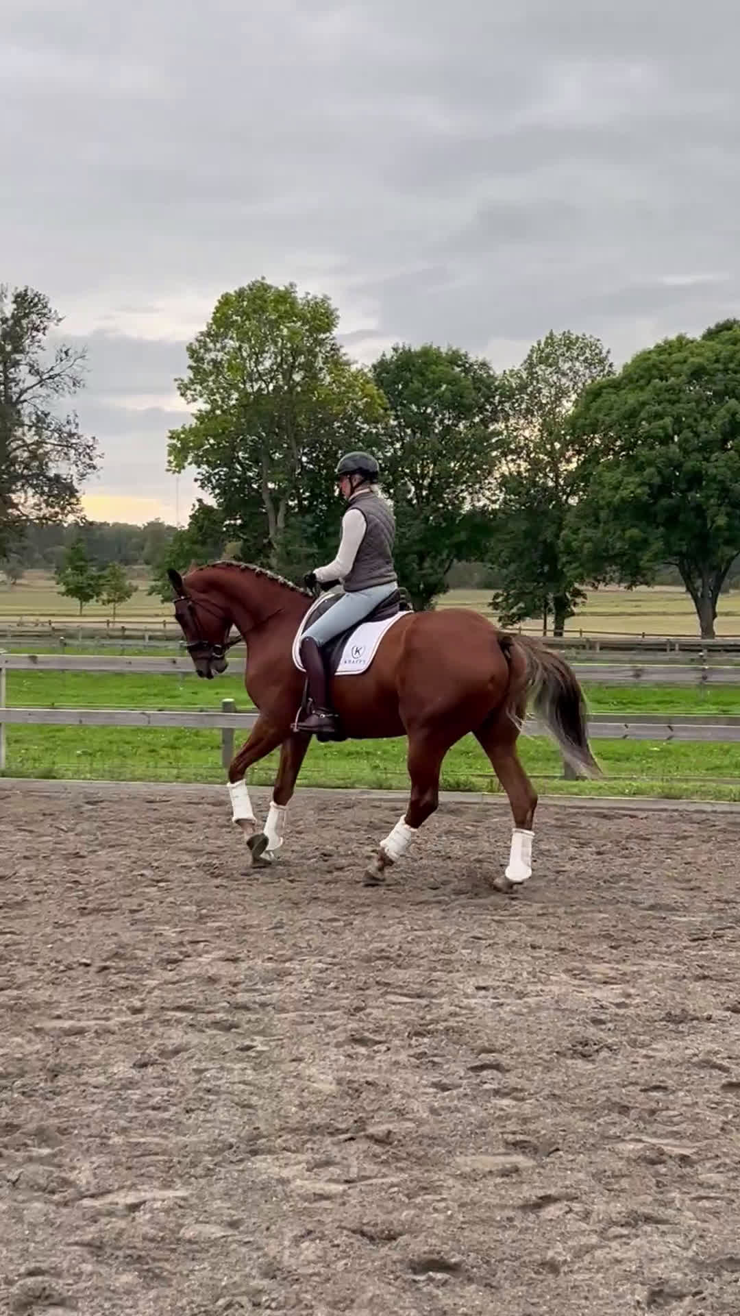 Dressyr hästar till salu: Unghäst med underbart temperament  i Rimbo - Video 2