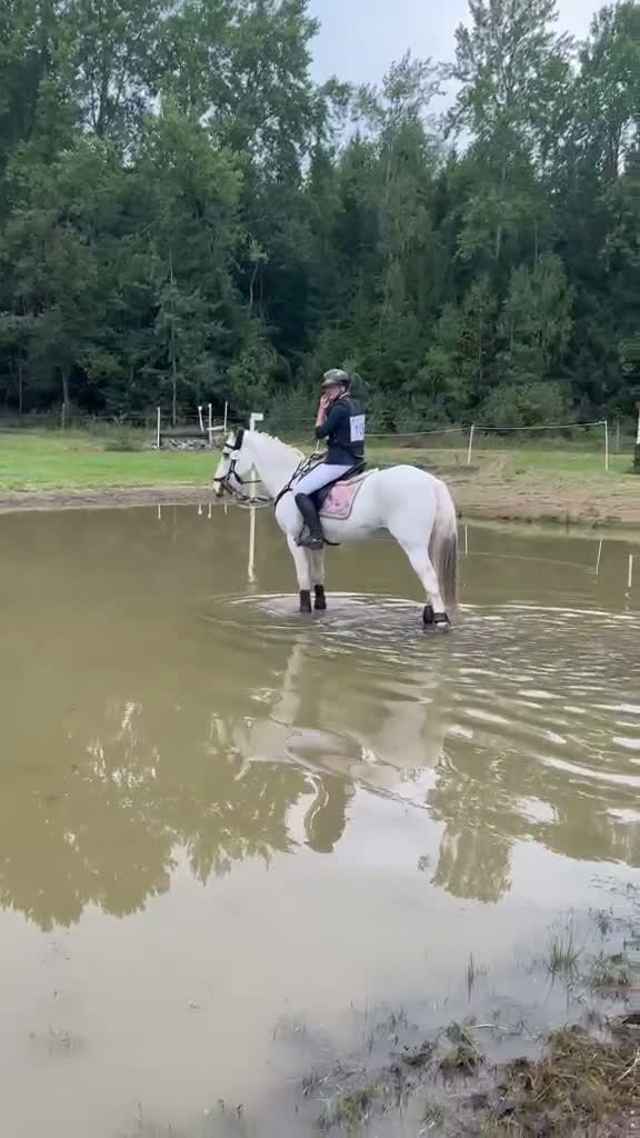 Allround hästar till salu: Maxad D-ponny med hjärtat på rätt plats! 🐴💛 i Vallentuna - Video 2