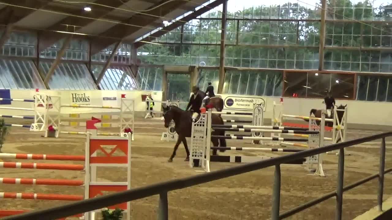 Hoppning hästar till salu: En pärla för tävling och äventyr - Video 1