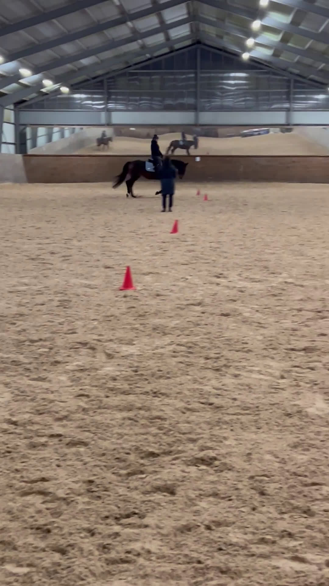 Allround hästar till salu: Snäll allround häst till salu i Vejbystrand - Video 2