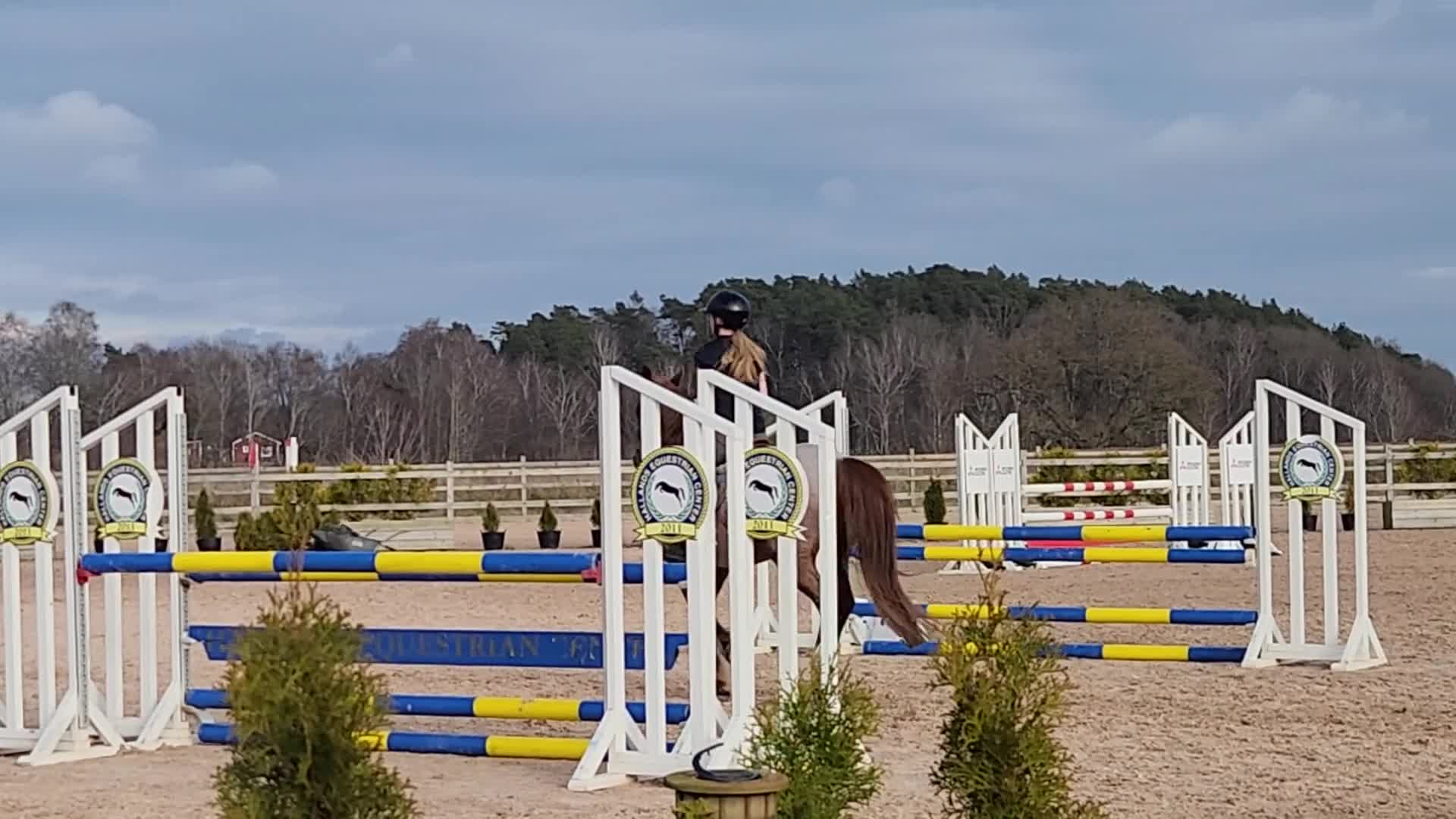 Hoppning hästar till salu: Tävlingsponny - Video 4