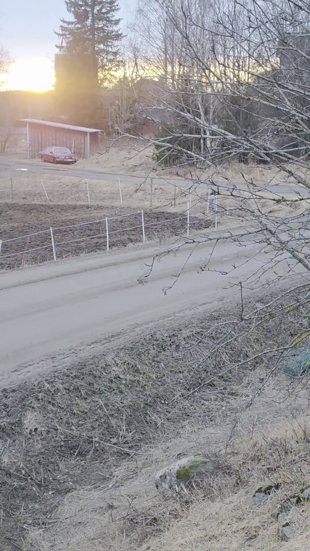 Trav hästar till salu: Trav eller ridning - Video 1