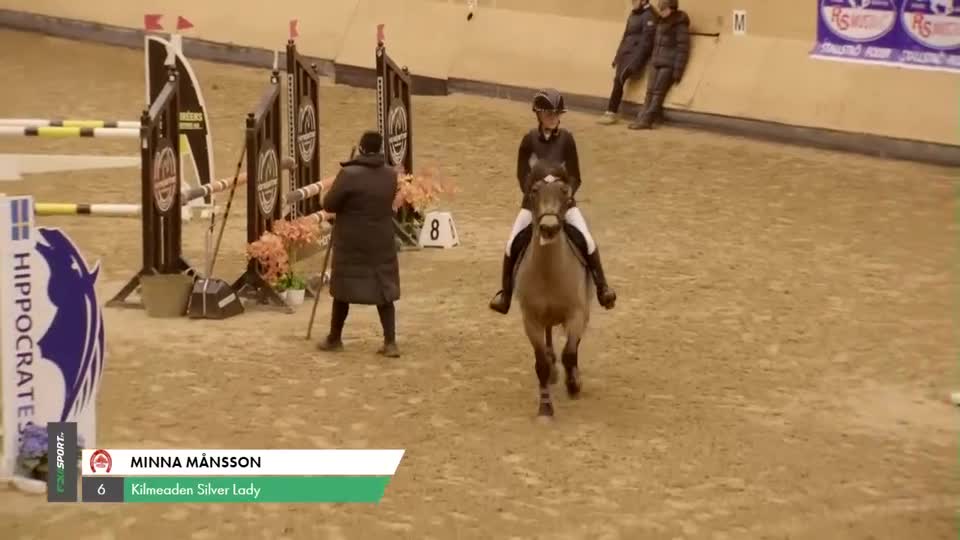 Allround hästar till salu: Fantastisk läromästare  - Video 1
