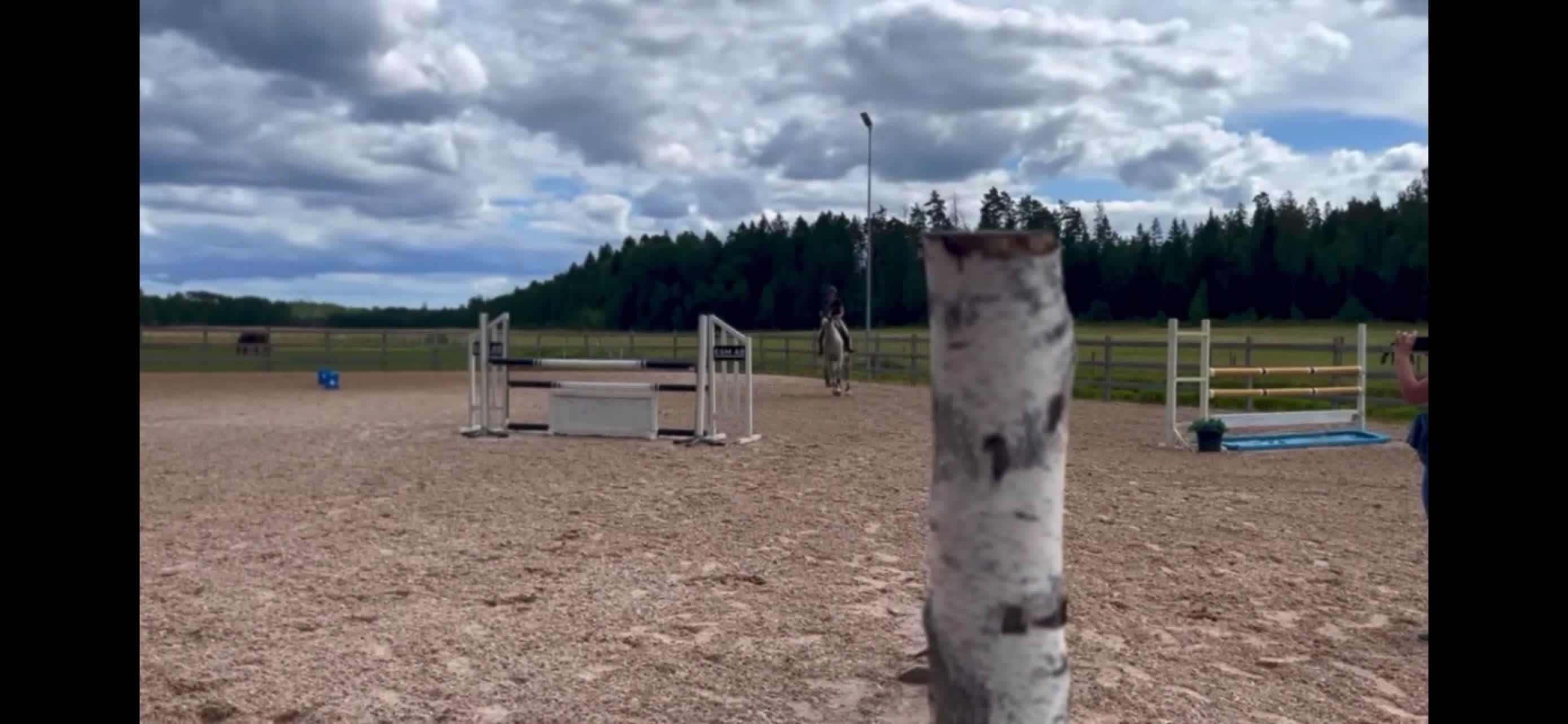 Allround hästar till salu: Sportigt sto  i Nykvarn - Video 3