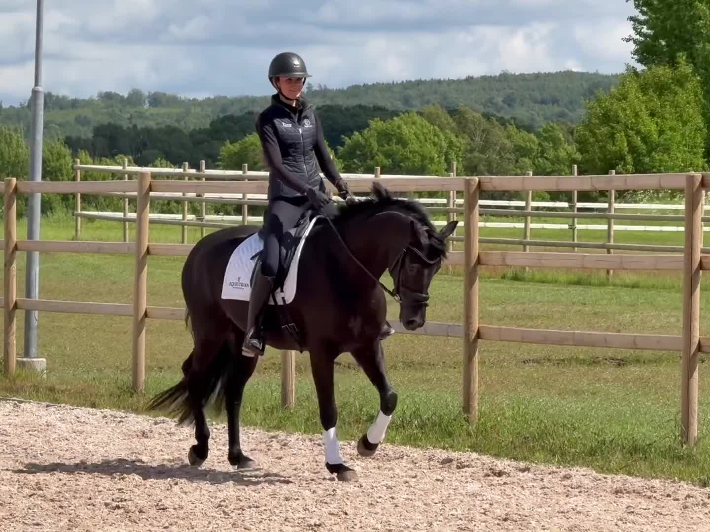 Dressyr hästar till salu: Vackert sto med stor potential  - Video 1
