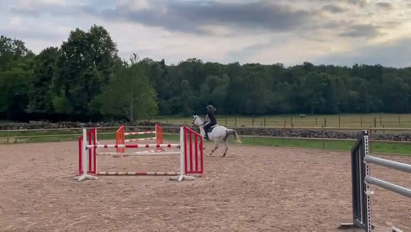 Hoppning hästar till salu: Trevlig SWB valack✨ i Knislinge - Video 1