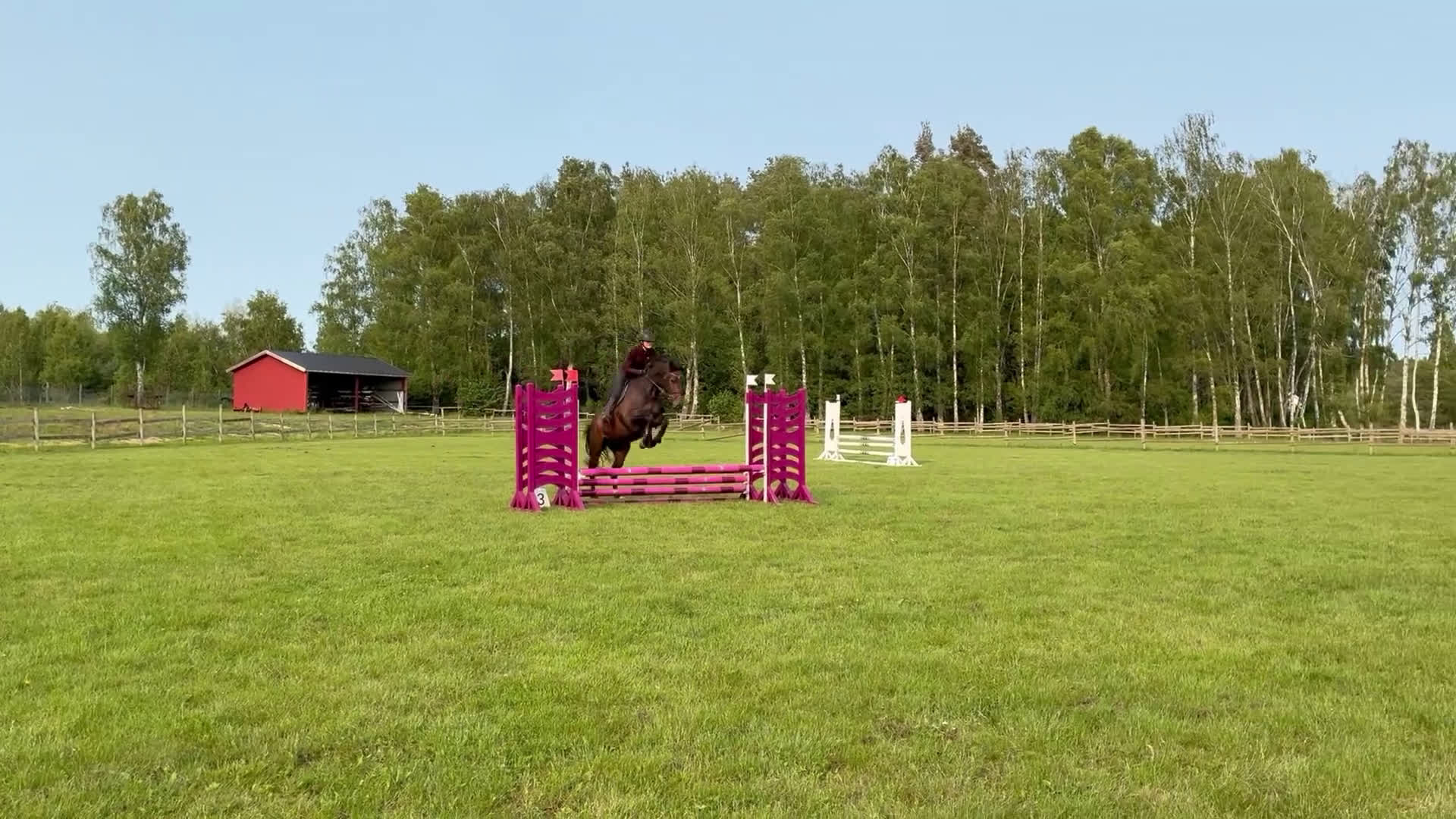 Hoppning hästar till salu: SWB 4åring i Knislinge - Video 2