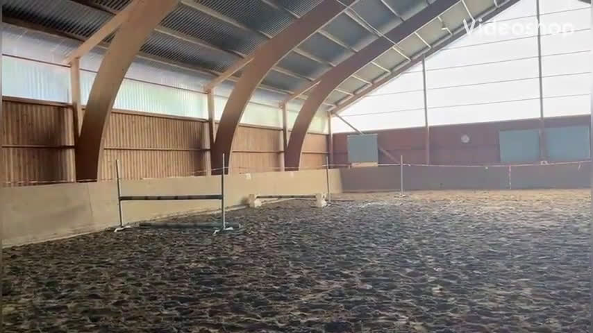 Hoppning hästar till salu: Mycket talangfull häst med nerv i Göteborg - Video 1