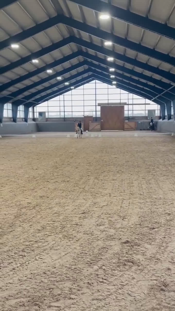 Allround hästar till salu: Fyndpris! Välutbildad B-ponny! i Bergkvara - Video 1