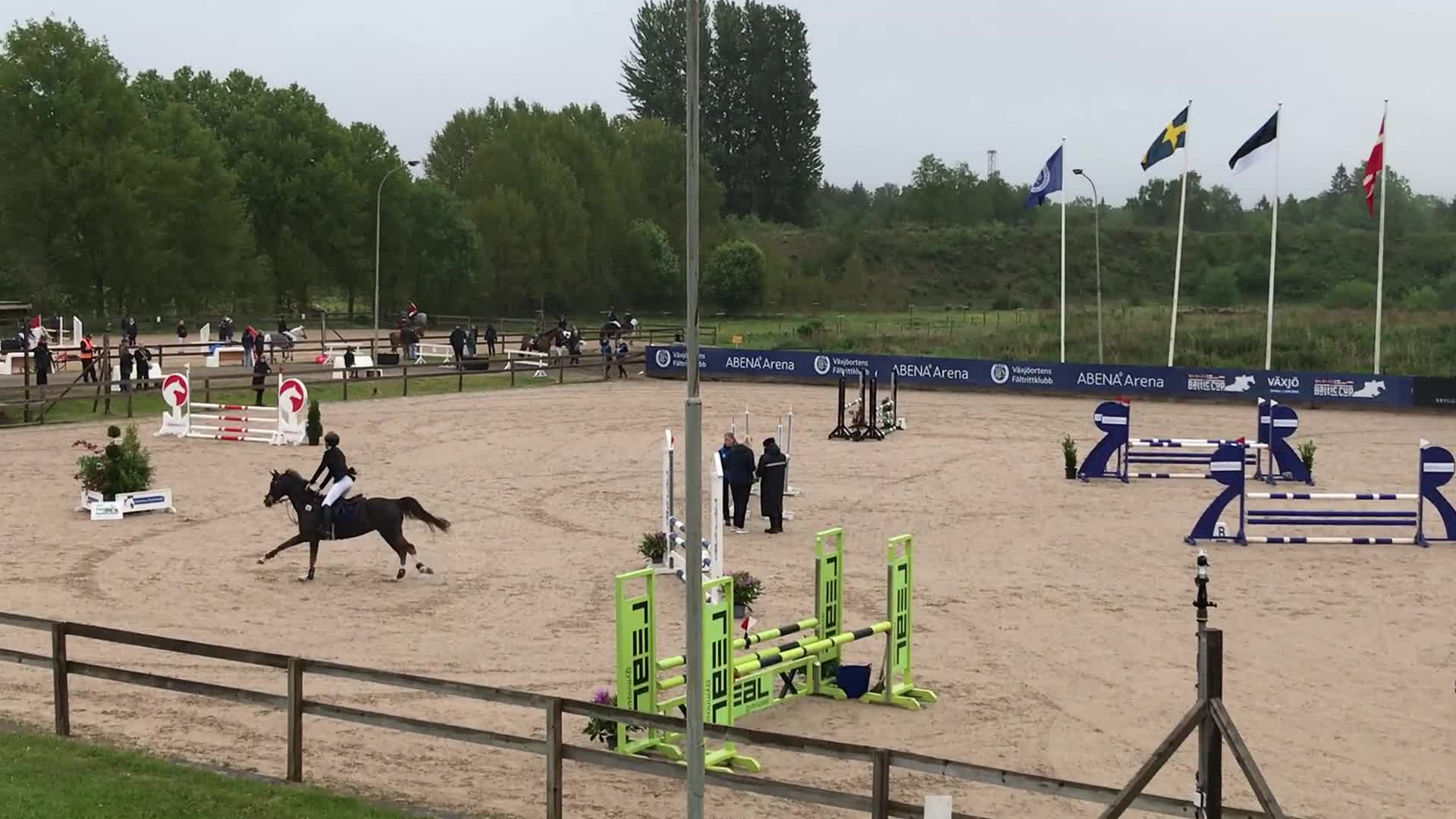 Hoppning hästar till salu: 🩷Queen🩷 - Maxad c ponny - Video 1