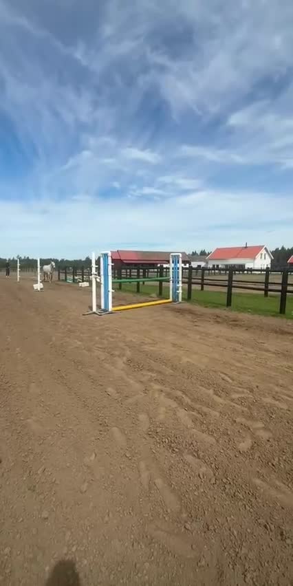 Allround hästar till salu: D-ponny⭐️ i Skara - Video 1