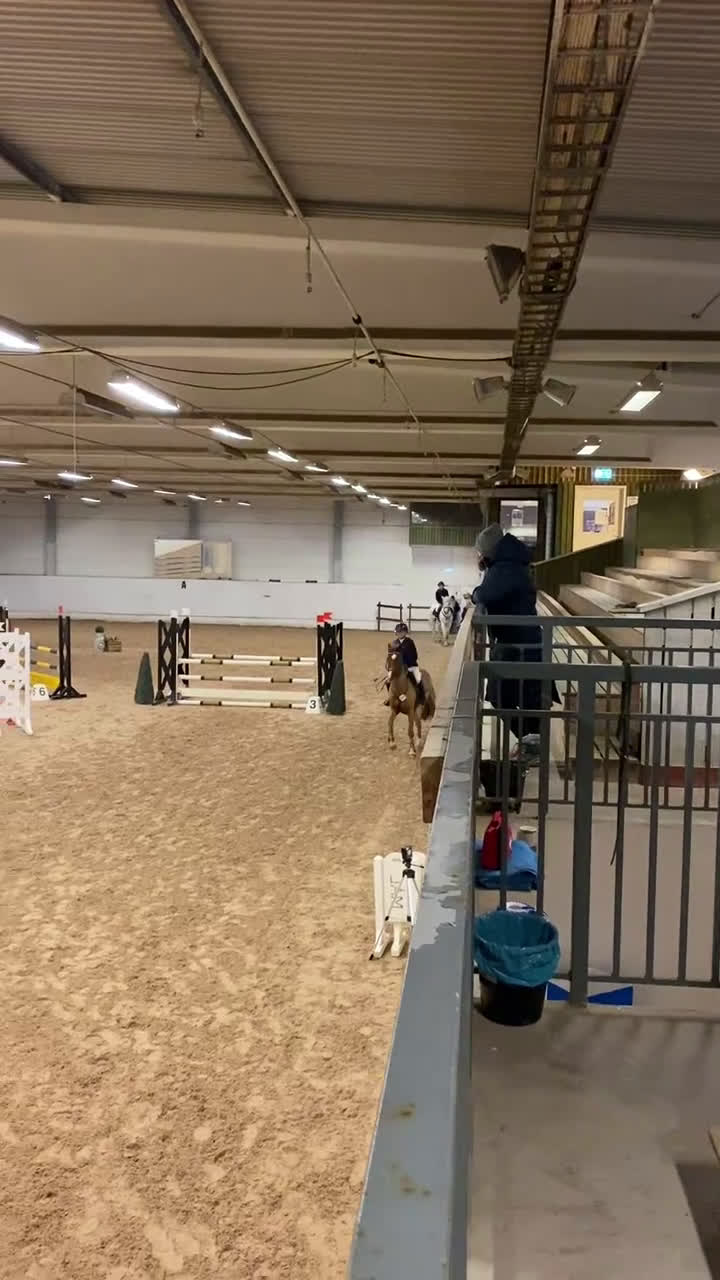 Fälttävlan hästar till salu: Underbar fräsch läomästare  i Lund - Video 3