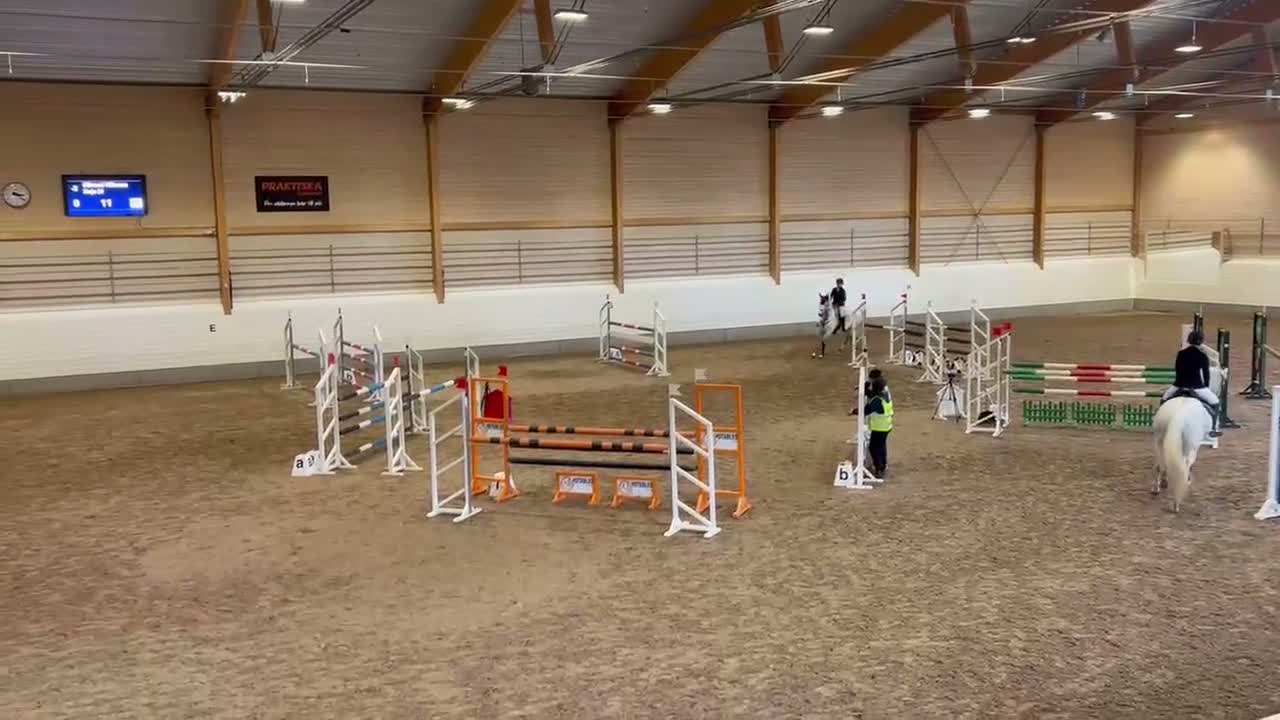 Hoppning hästar till salu: En riktig pärla- fantastisk häst söker nytt hem💫 i Eskilstuna - Video 2